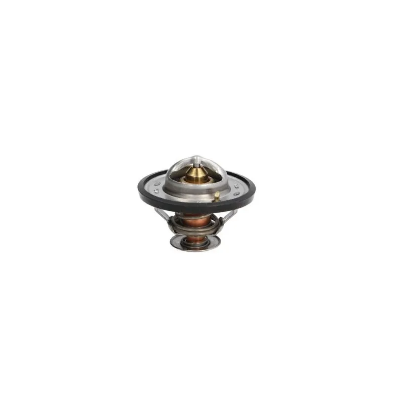 Thermostat d'eau THERMOTEC D2F001TT