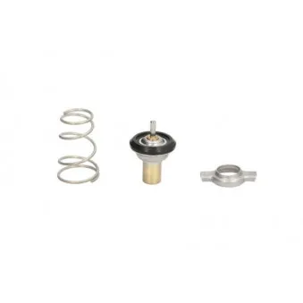 Thermostat d'eau THERMOTEC D2F002TT
