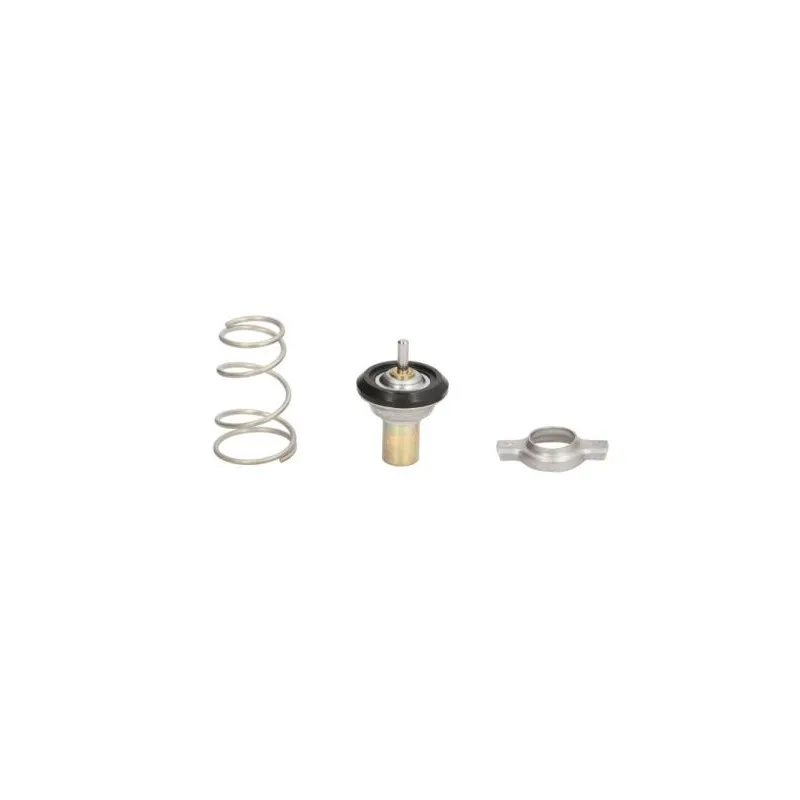Thermostat d'eau THERMOTEC D2F002TT