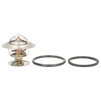 Thermostat d'eau THERMOTEC D2G002TT