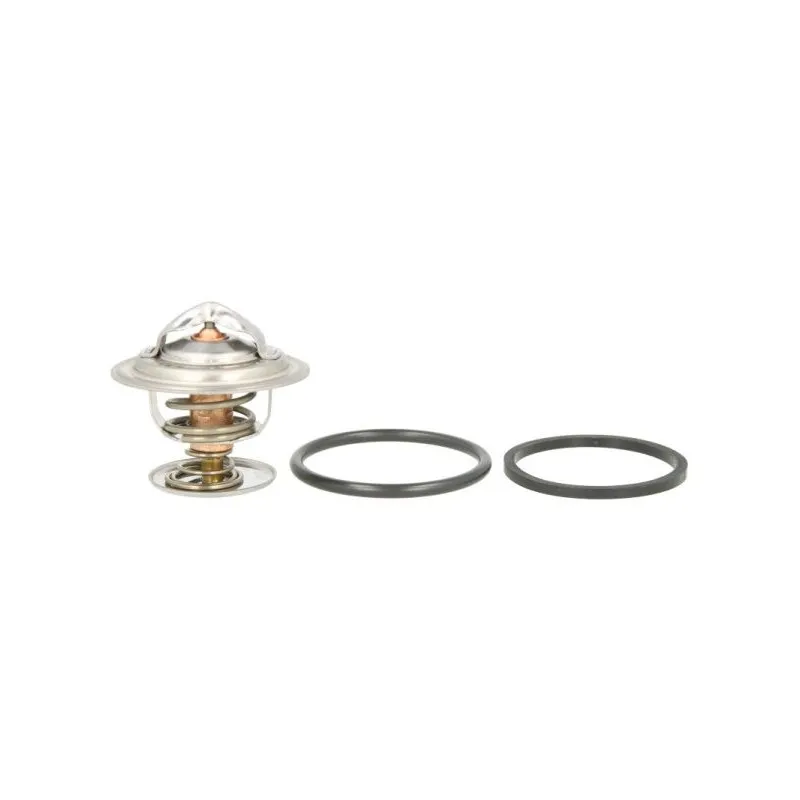 Thermostat d'eau THERMOTEC D2G002TT