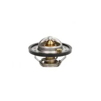 Thermostat d'eau THERMOTEC D2G004TT