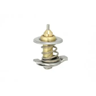 Thermostat d'eau THERMOTEC D2IV007TT