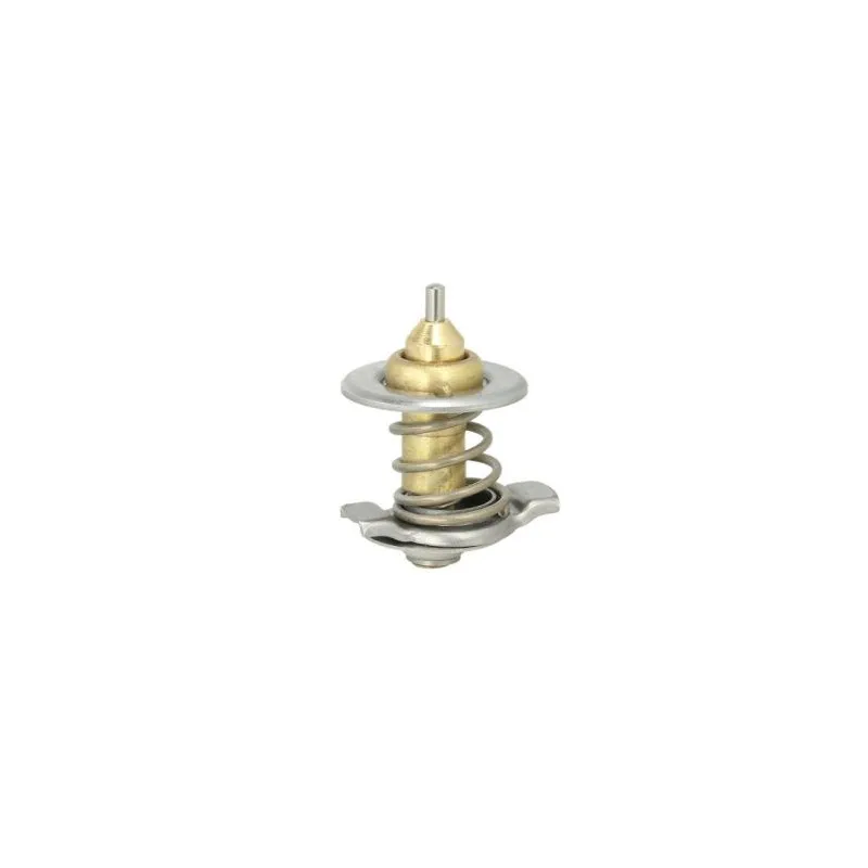 Thermostat d'eau THERMOTEC D2IV007TT