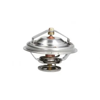 Thermostat d'eau THERMOTEC D2M003TT
