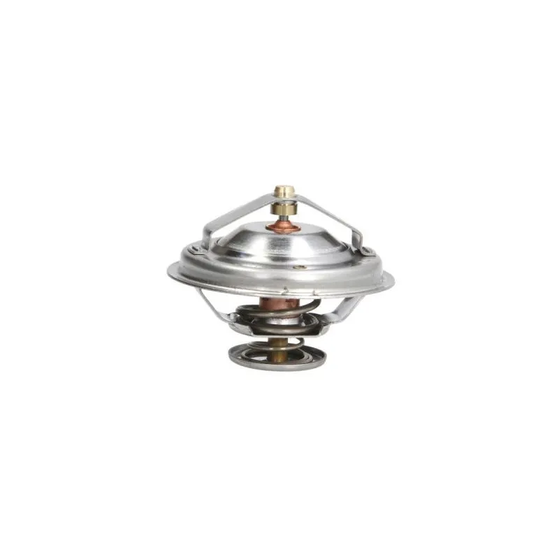 Thermostat d'eau THERMOTEC D2M003TT