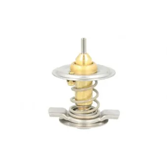 Thermostat d'eau THERMOTEC D2M004TT
