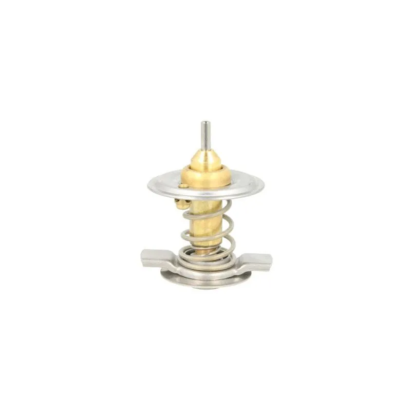 Thermostat d'eau THERMOTEC D2M004TT