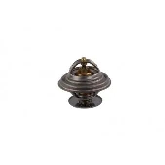 Thermostat d'eau THERMOTEC