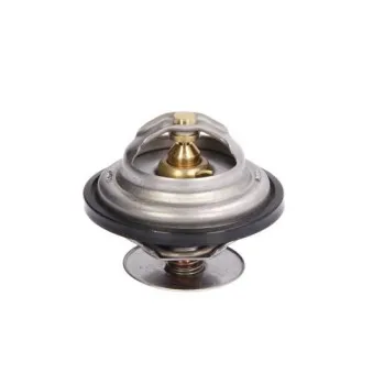 Thermostat d'eau THERMOTEC D2MA004TT