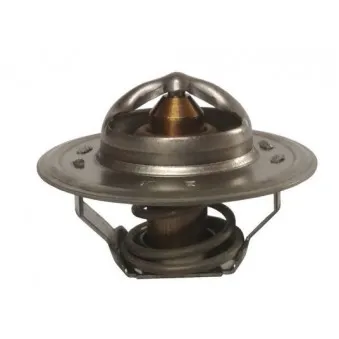 Thermostat d'eau THERMOTEC D2PE001TT