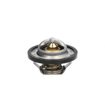 Thermostat d'eau THERMOTEC D2R001TT