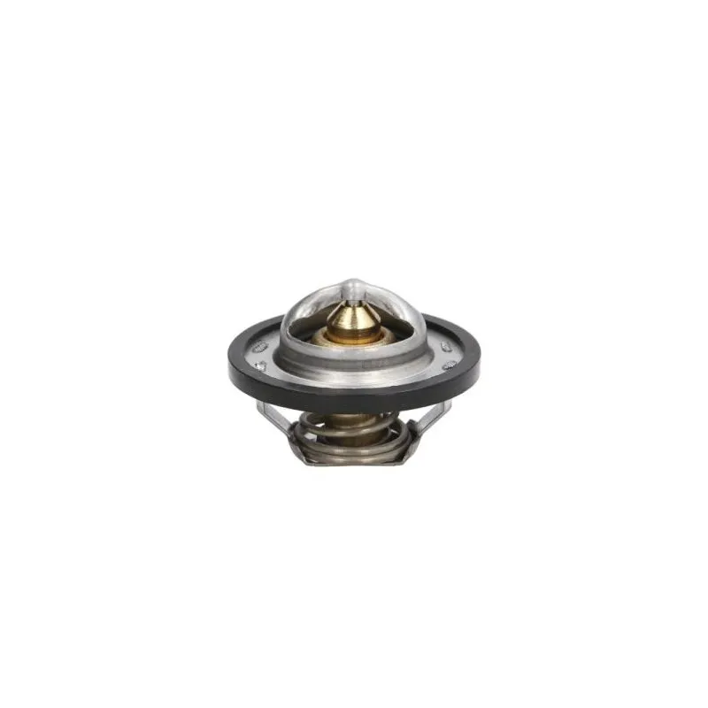 Thermostat d'eau THERMOTEC D2R001TT