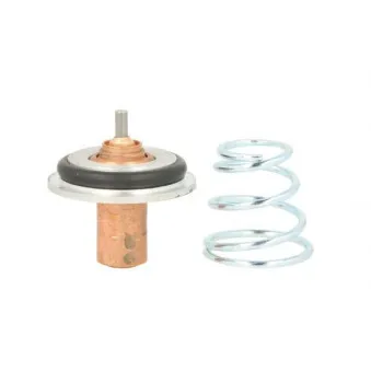 Thermostat d'eau THERMOTEC D2R002TT
