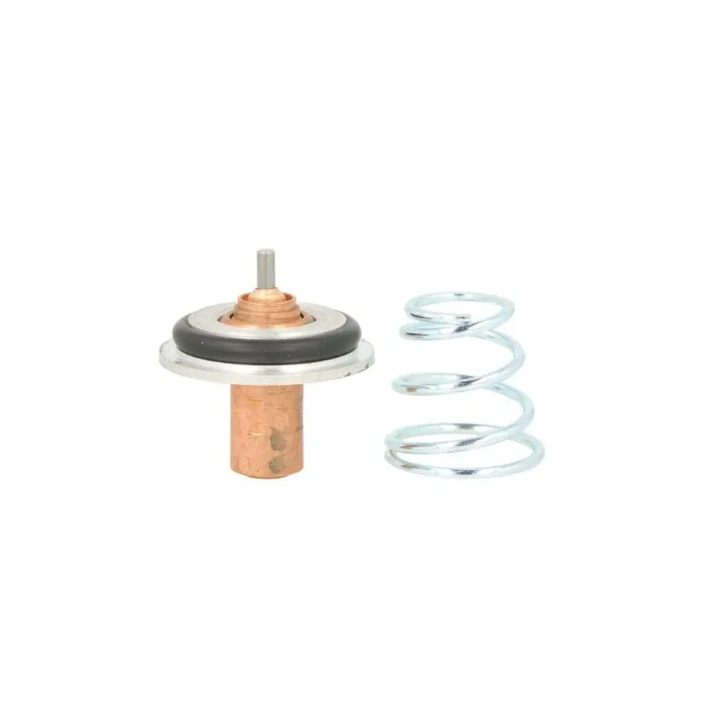 Thermostat d'eau THERMOTEC D2R002TT