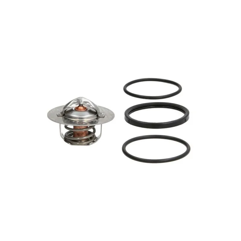 Thermostat d'eau THERMOTEC D2R003TT