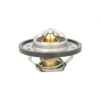 Thermostat d'eau THERMOTEC D2R004TT