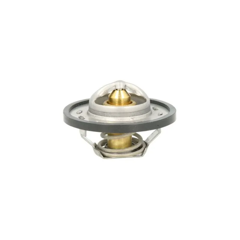 Thermostat d'eau THERMOTEC D2R004TT
