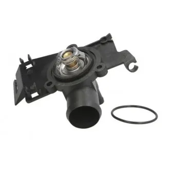 Thermostat d'eau THERMOTEC D2S002TT