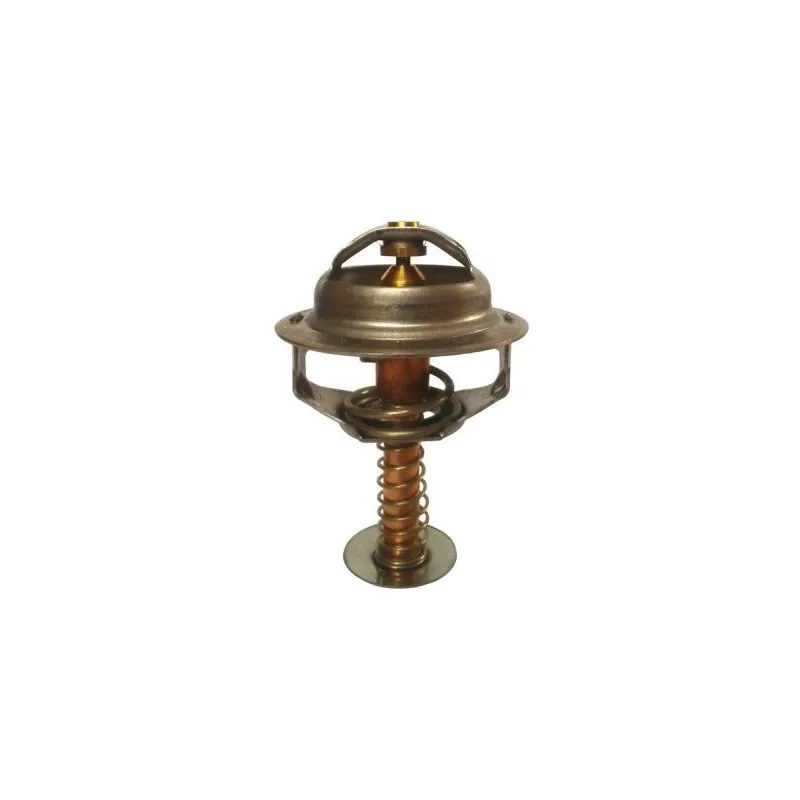 Thermostat d'eau THERMOTEC D2UR002TT