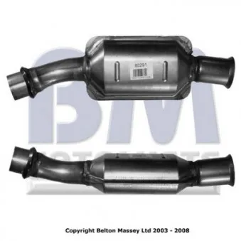 Catalyseur BM CATALYSTS BM80291H