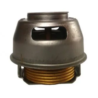 Thermostat d'eau THERMOTEC D2UR003TT
