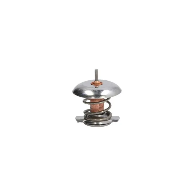 Thermostat d'eau THERMOTEC D2V001TT