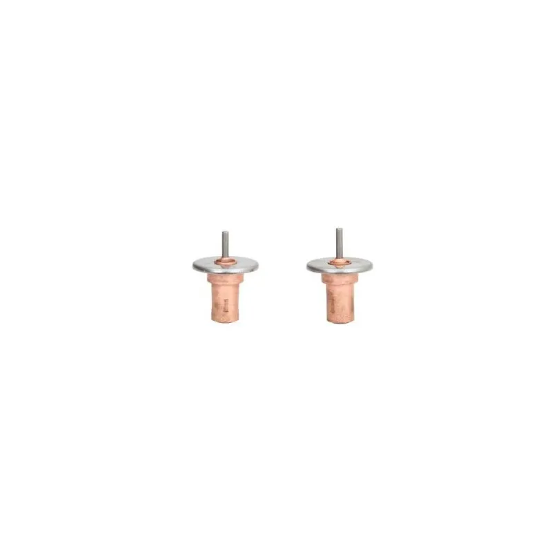 Thermostat d'eau THERMOTEC D2W001TT