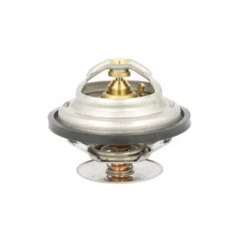 Thermostat d'eau THERMOTEC D2X001TT