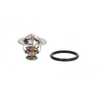 Thermostat d'eau THERMOTEC D2X004TT