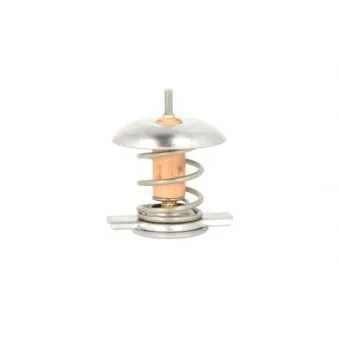 Thermostat d'eau THERMOTEC D2X006TT
