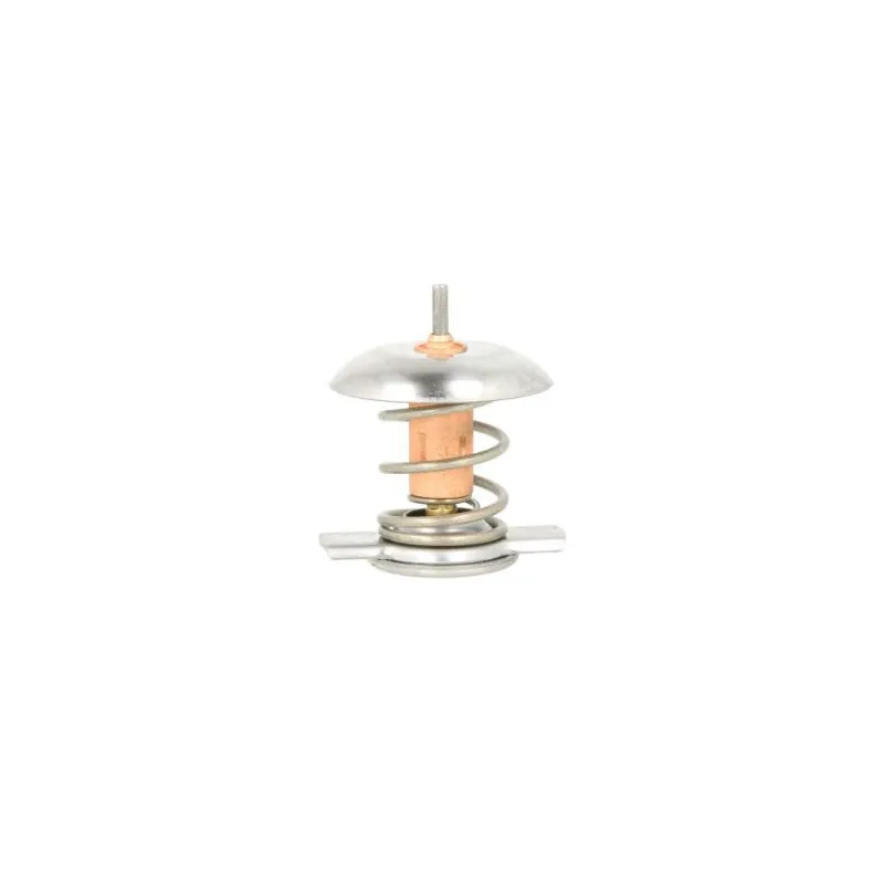 Thermostat d'eau THERMOTEC D2X006TT
