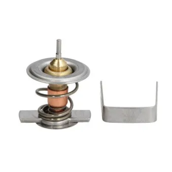 Thermostat d'eau THERMOTEC D2X009TT