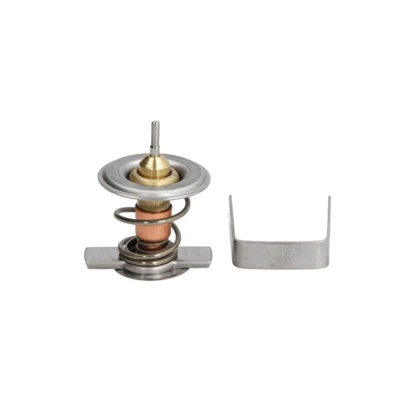 Thermostat d'eau THERMOTEC D2X009TT