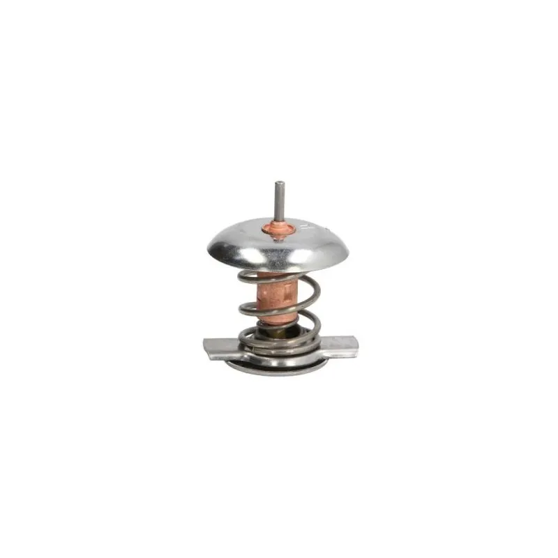 Thermostat d'eau THERMOTEC D2Y002TT