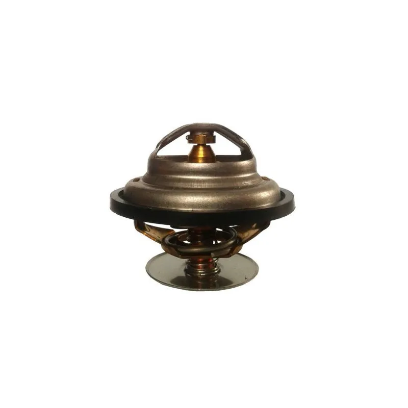 Thermostat d'eau THERMOTEC D2ZE001TT
