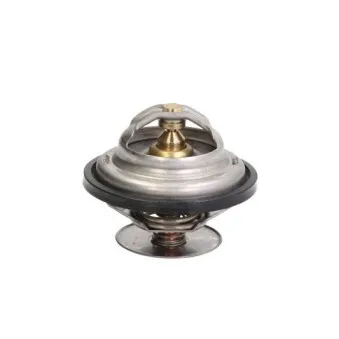 Thermostat d'eau THERMOTEC D2ZE002TT