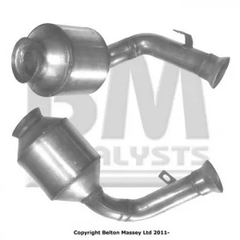 Catalyseur BM CATALYSTS BM80295H