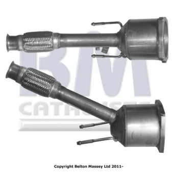 Catalyseur BM CATALYSTS BM80307H