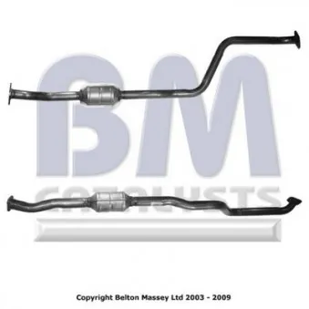 Catalyseur BM CATALYSTS BM80321H