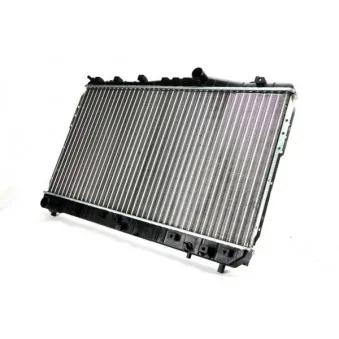 Radiateur, refroidissement du moteur THERMOTEC D70013TT