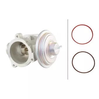 Vanne EGR HELLA 6NU 010 171-701