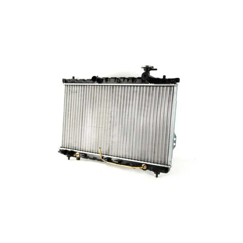 Radiateur, refroidissement du moteur THERMOTEC D70507TT