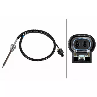 Capteur, température des gaz HELLA 6PT 010 376-781