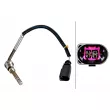 Capteur, température des gaz HELLA 6PT 010 376-971 - Visuel 1