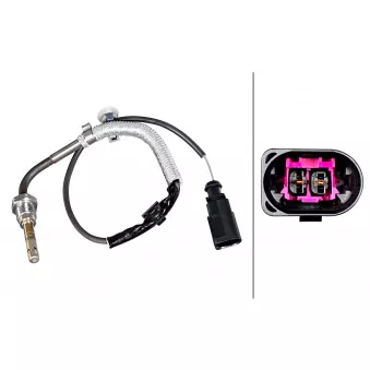 Capteur, température des gaz HELLA 6PT 010 376-981