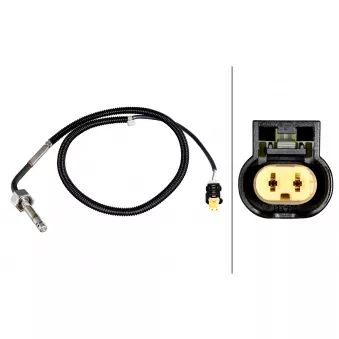 Capteur, température des gaz HELLA 6PT 358 226-081