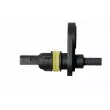 Capteur, vitesse de roue HELLA 6PU 358 219-011 - Visuel 2