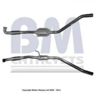 Catalyseur BM CATALYSTS BM80355H