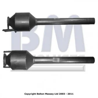 Catalyseur BM CATALYSTS BM80365H